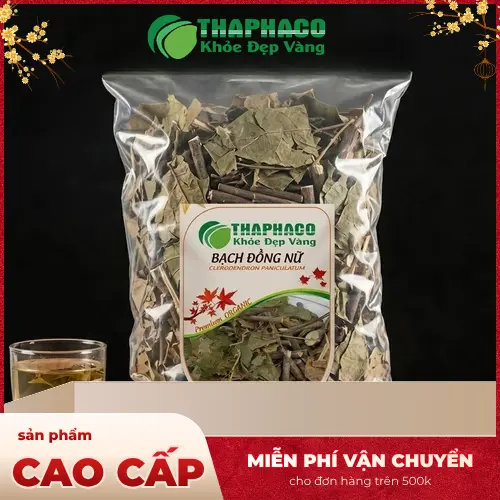 Hình ảnh cây Bạch Đồng Nữ tươi và khô
