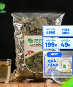 Mua Bạch Đồng Nữ Sấy Khô Giá Tốt Ở TP.HCM - THAPHACO