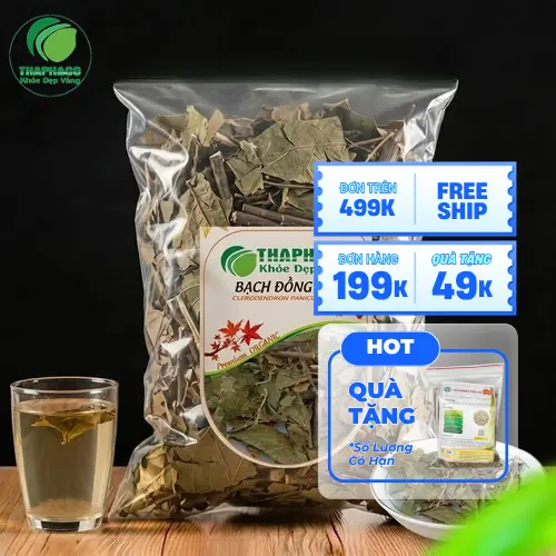 Bạch Đồng Nữ sấy khô chất lượng loại 1 tại THAPHACO