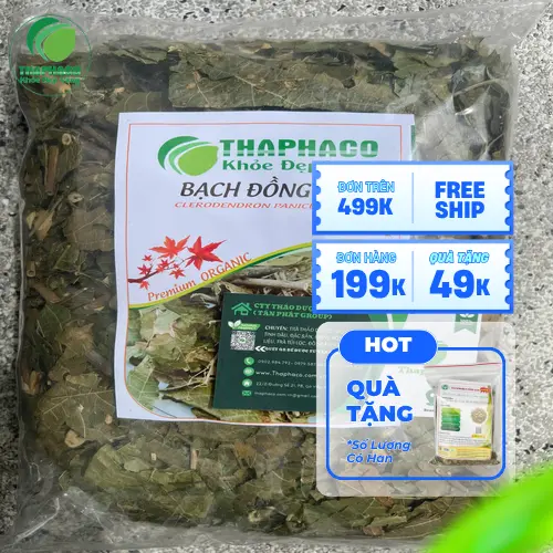 Cách dùng Bạch Đồng Nữ khô và tươi