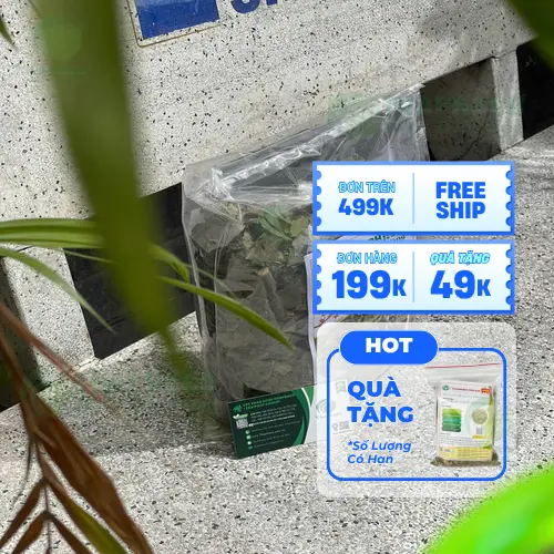 Bạch Đồng Nữ đã được sơ chế và đóng gói cẩn thận