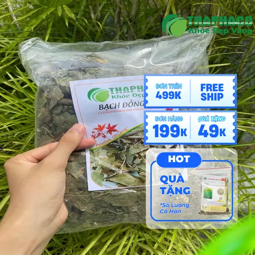 Cách Sắc Nước Bạch Đồng Nữ Uống