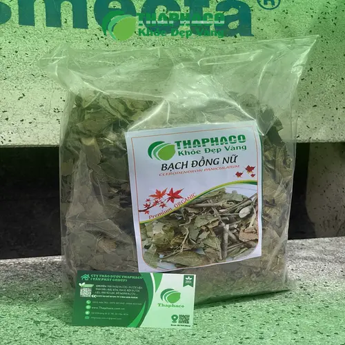 Bạch Đồng Nữ được cung cấp bởi THAPHACO