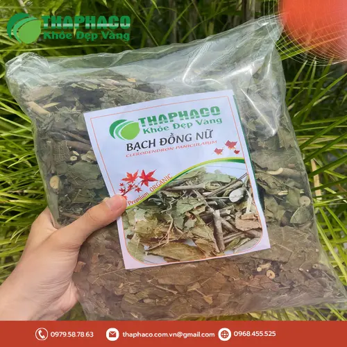 Lưu Ý Khi Dùng Bạch Đồng Nữ Khô