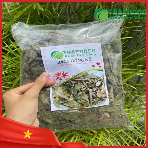 Quy trình đóng gói Bạch Đồng Nữ sấy khô tại THAPHACO