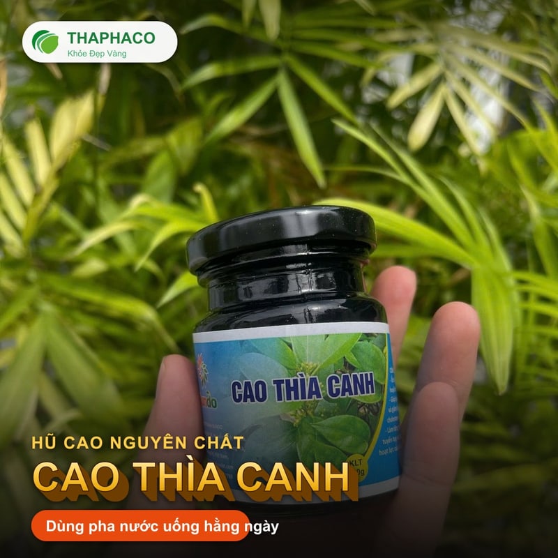 Cao thìa canh THAPHACO Hũ cao thìa canh nguyên chất tại THAPHACO