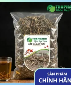Địa Chỉ Bán Cây Xấu Hổ Khô Tại TP.HCM