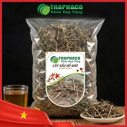 Đặc điểm nhận dạng của cây xấu hổ (trinh nữ) với lá kép lông chim và hoa màu hồng tím