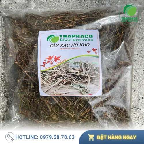 THAPHACO - Địa chỉ cung cấp cây xấu hổ khô uy tín tại TP.HCM