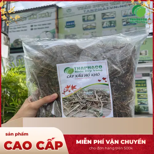 THAPHACO cung cấp cây xấu hổ và dược liệu chất lượng, tư vấn sử dụng an toàn