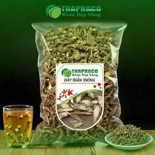 Dây Thần Thông là gì, đặc điểm nhận biết cây Dây Thần Thông