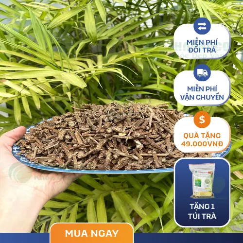 Công dụng Dây Thần Thông, dược liệu Dây Thần Thông