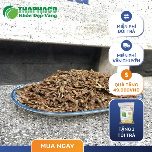 Phân tích hợp chất alkaloid trong dây thần thông