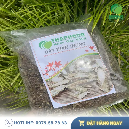 Dây thần thông hỗ trợ thanh nhiệt giải độc