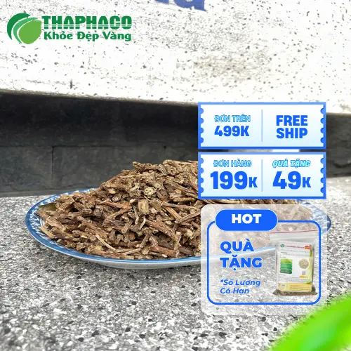 Mua Dây Thần Thông ở đâu, Dây Thần Thông THAPHACO