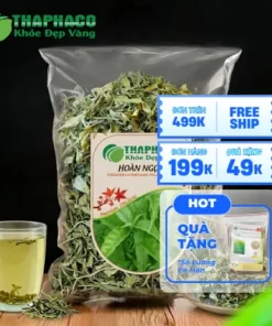 Mua Lá Hoàn Ngọc Khô Ở Đâu Uy Tín? Giá Tốt & Chất Lượng Đảm Bảo