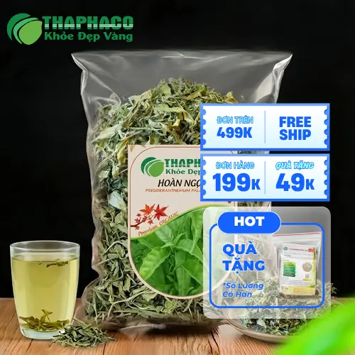 Lá Hoàn Ngọc khô được phơi hoặc sấy khô giữ nguyên dược tính