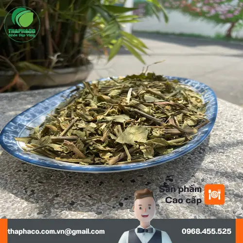 Quy trình đóng gói lá Hoàn Ngọc khô tại THAPHACO