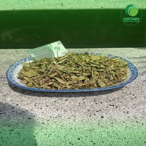 Lưu ý khi bảo quản lá Hoàn Ngọc khô