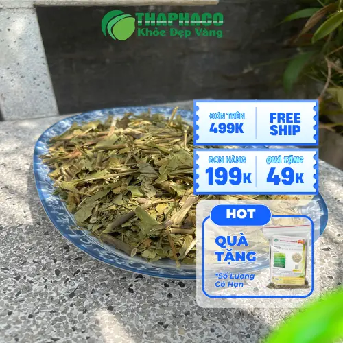 Lá Hoàn Ngọc khô chất lượng tại THAPHACO