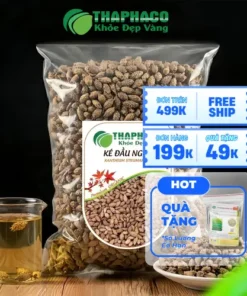 Mua Thương Nhĩ Tử Khô Ở Đâu Giá Tốt? Địa Chỉ Uy Tín Thaphaco