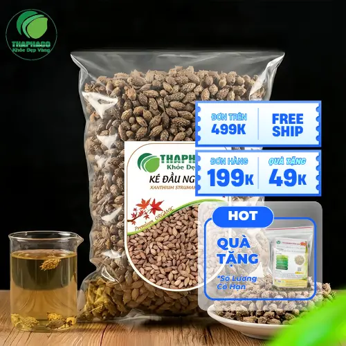 Ké đầu ngựa khô là gì và những lợi ích có thể hỗ trợ sức khỏe