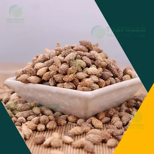 Cách sơ chế và sử dụng Thương Nhĩ Tử Khô (Ké Đầu Ngựa Khô)