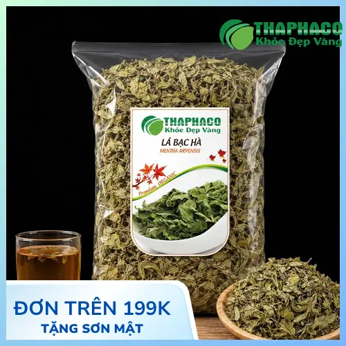 Lá bạc hà tươi và khô