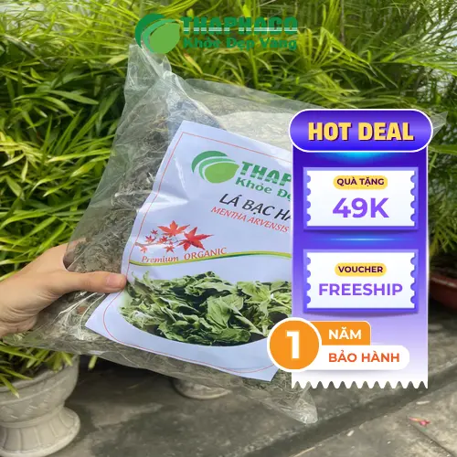 Trẻ em uống trà bạc hà cần đúng cách