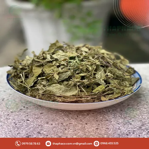 Công dụng của lá bạc hà khô hỗ trợ sức khỏe