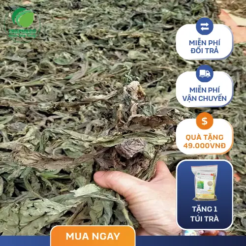 Chuẩn bị lá khôi tía sấy khô và ấm pha trà