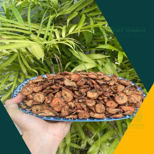 Công dụng hỗ trợ tiêu hóa của Táo Mèo