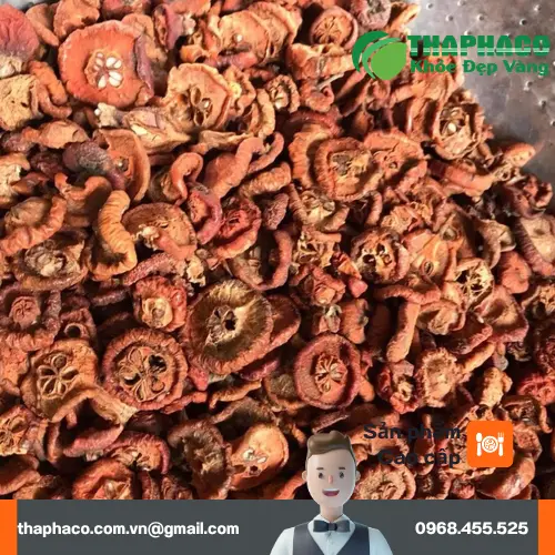 Táo mèo khô chất lượng tại THAPHACO