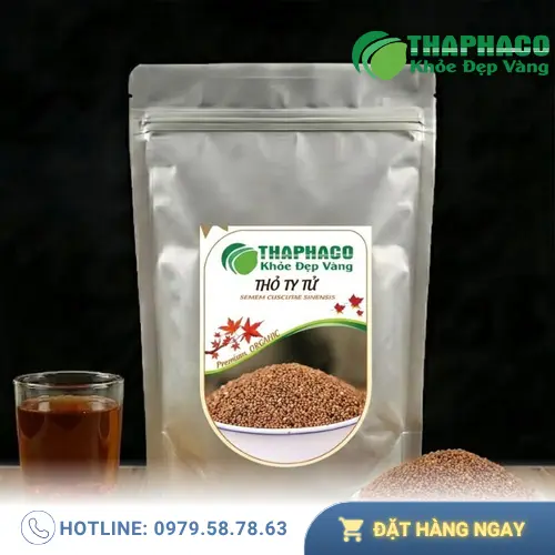 Thỏ Ty Tử - Vị thuốc hỗ trợ sức khỏe trong y học cổ truyền
