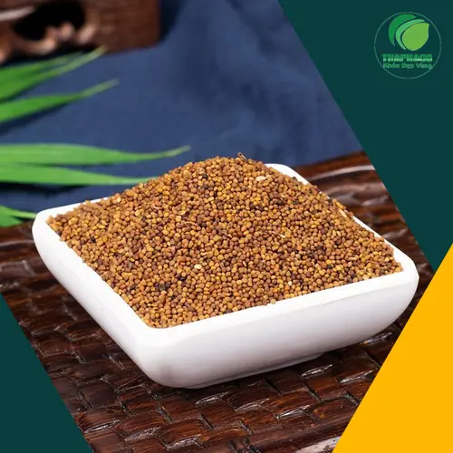 Kỳ vọng sai lầm về tác dụng của Thỏ Ty Tử