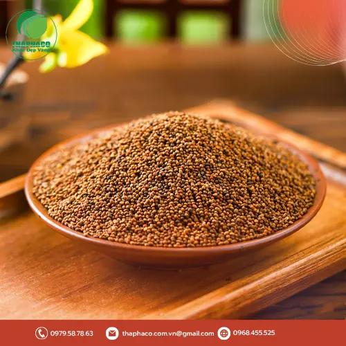 Lạm dụng Thỏ Ty Tử có thể gây tác dụng phụ