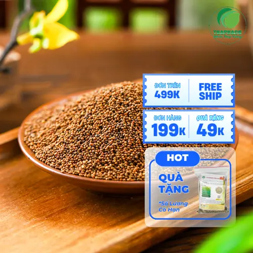 Phụ nữ mang thai và người táo bón cần đặc biệt cẩn trọng với Thỏ Ty Tử