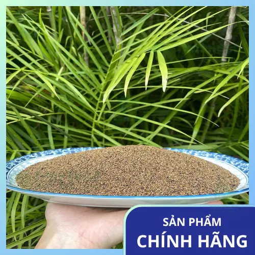 Cách chọn mua Thỏ Ty Tử chất lượng