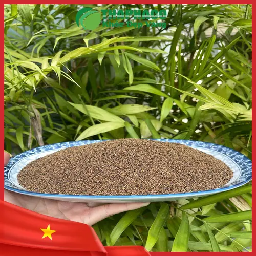 Tham khảo ý kiến chuyên gia trước khi dùng Thỏ Ty Tử