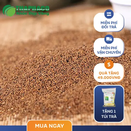 Chọn mua Thỏ Ty Tử từ nguồn cung cấp uy tín