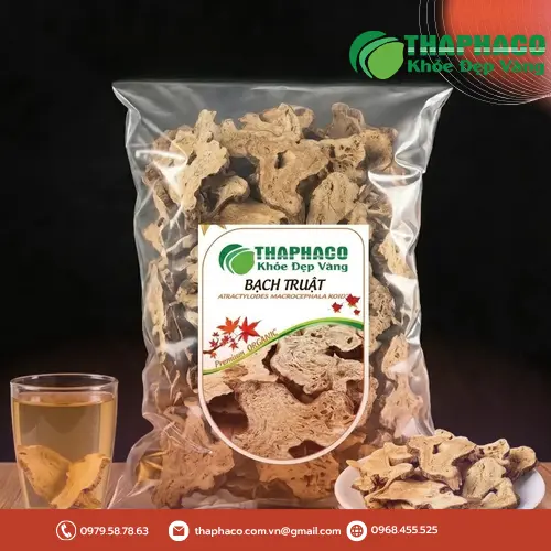 Hình ảnh cây Bạch Truật tươi và khô