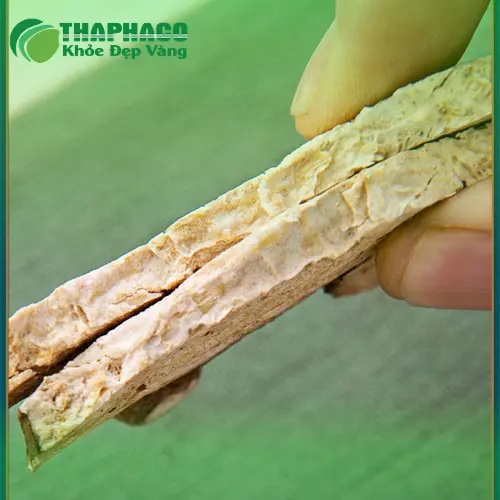 Củ Bạch Truật đã sơ chế