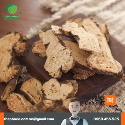 Hình ảnh Bạch Truật được sử dụng trong các thang thuốc