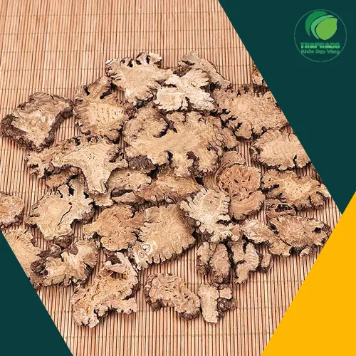 Phụ nữ mang thai cần tham vấn y tế trước khi dùng Bạch Truật