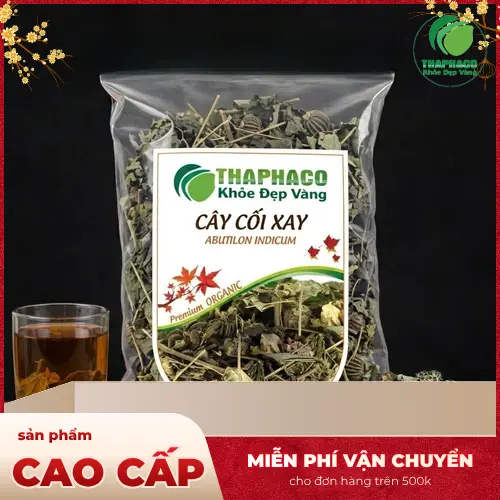 Hình ảnh cây cối xay với hoa và quả