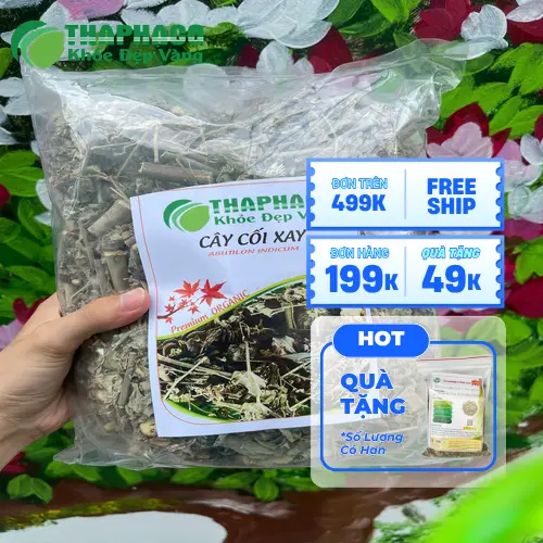 Cây cối xay khô tại THAPHACO