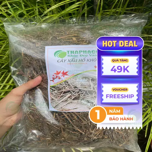 Cây Xấu Hổ Khô THAPHACO