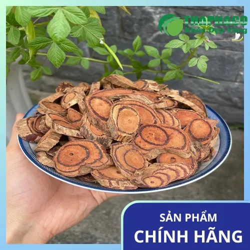 Cận cảnh thân dây Kê Huyết Đằng với nhựa đỏ đặc trưng