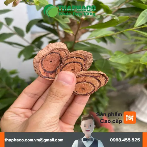 Kê Huyết Đằng đã sơ chế, sẵn sàng sử dụng làm dược liệu