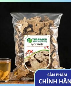 Mua Bạch Truật Khô Giá Tốt Tại TP.HCM - Chất Lượng, Uy Tín